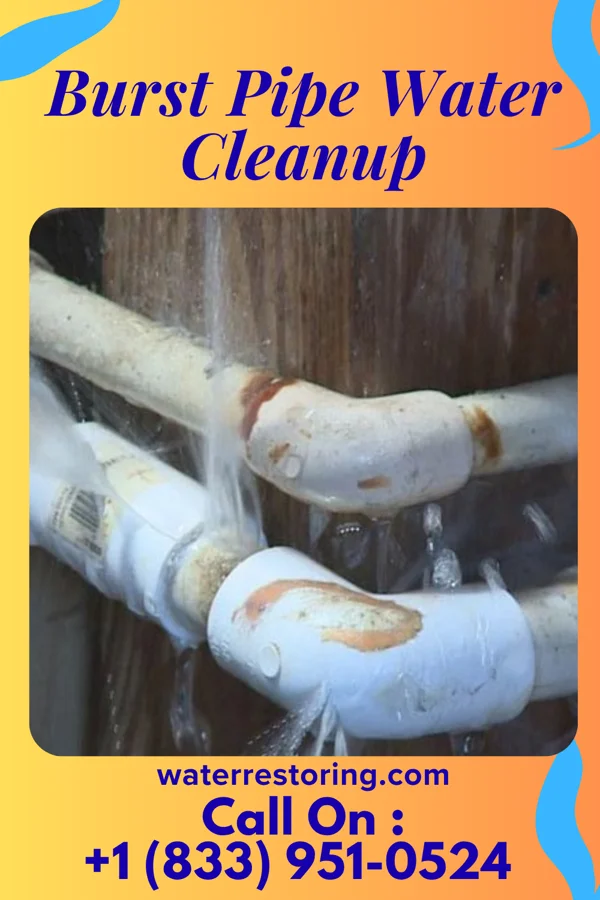 Burst Pipe Water Cleanup in Woods Landing-Jelm, WY
