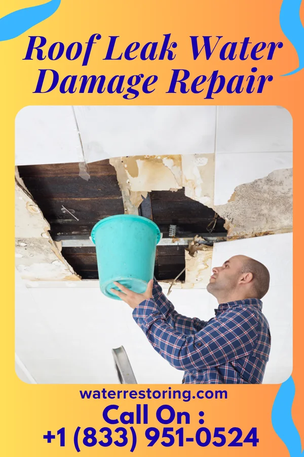 Roof Leak Water Damage Repair in Woods Landing-Jelm, WY